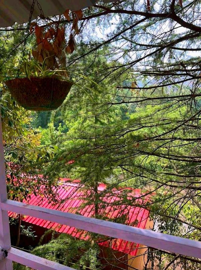 Aamod Resorts Dalhousie ! Luxury Cottage Resort Exterior photo
