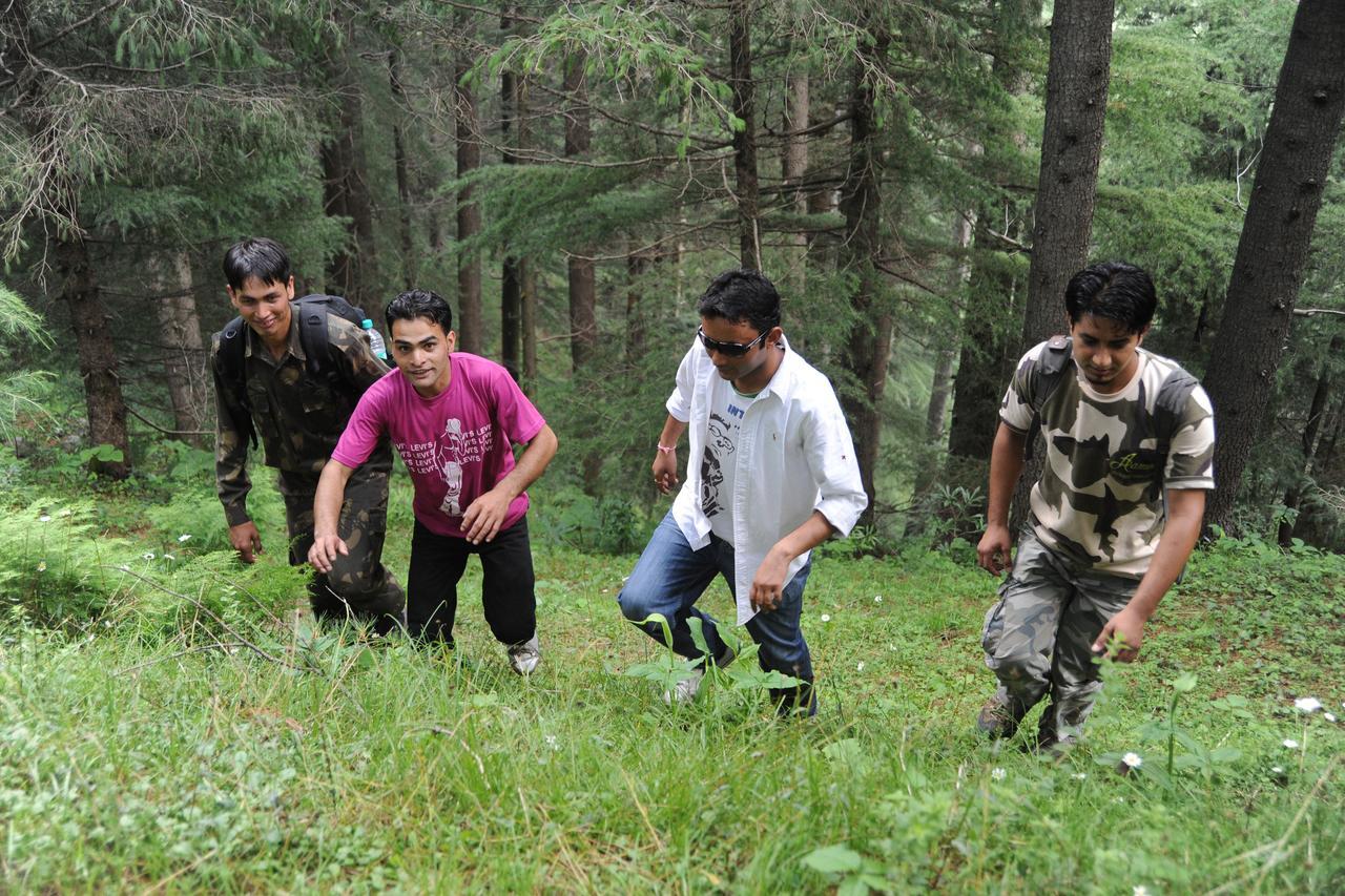 Aamod Resorts Dalhousie ! Luxury Cottage Resort Exterior photo